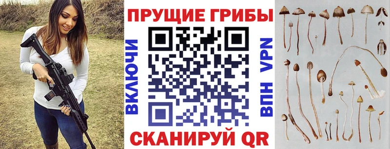 Галлюциногенные грибы Magic Shrooms  KRAKEN рабочий сайт  Таганрог 