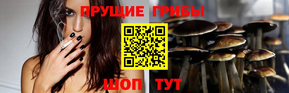 Таганрог  Псилоцибиновые грибы ЛСД  Вход с VPN 